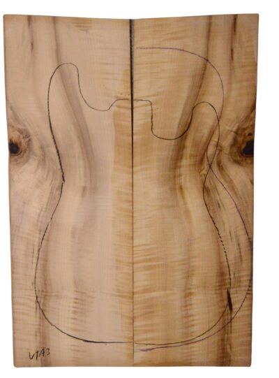 Myrtle (American) GuitarSolidBodyTopATC L18938.G.351