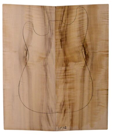 Myrtle (American) GuitarSolidBodyTopATC L18938.G.353
