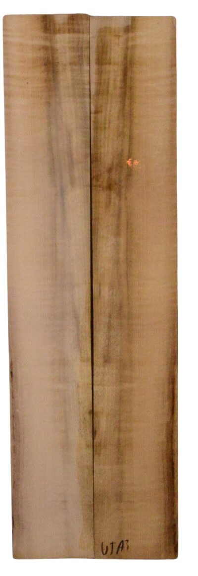 Myrtle (American) UkeSides2pcATC L18938.G.367