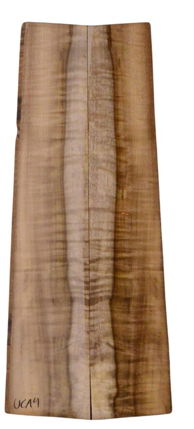 Myrtle (American) UkeSides2pcATC L18938.G.370