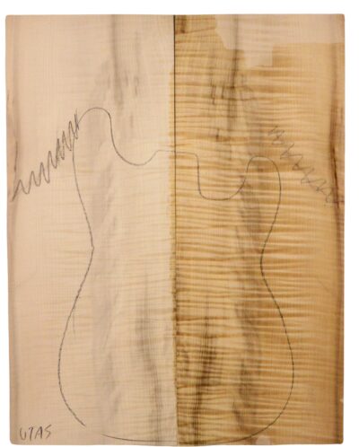 Myrtle (American) GuitarSolidBodyTopATC L18938.G.371