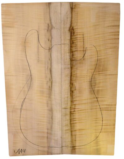 Myrtle (American) GuitarSolidBodyTopATC L18938.G.374