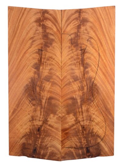 Mahogany (Sinker) GuitarSolidBodyTopATC L19491.G.021