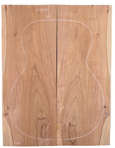 Rosewood (Nicaraguan) GuitarBack2pcATC L20072.G.049