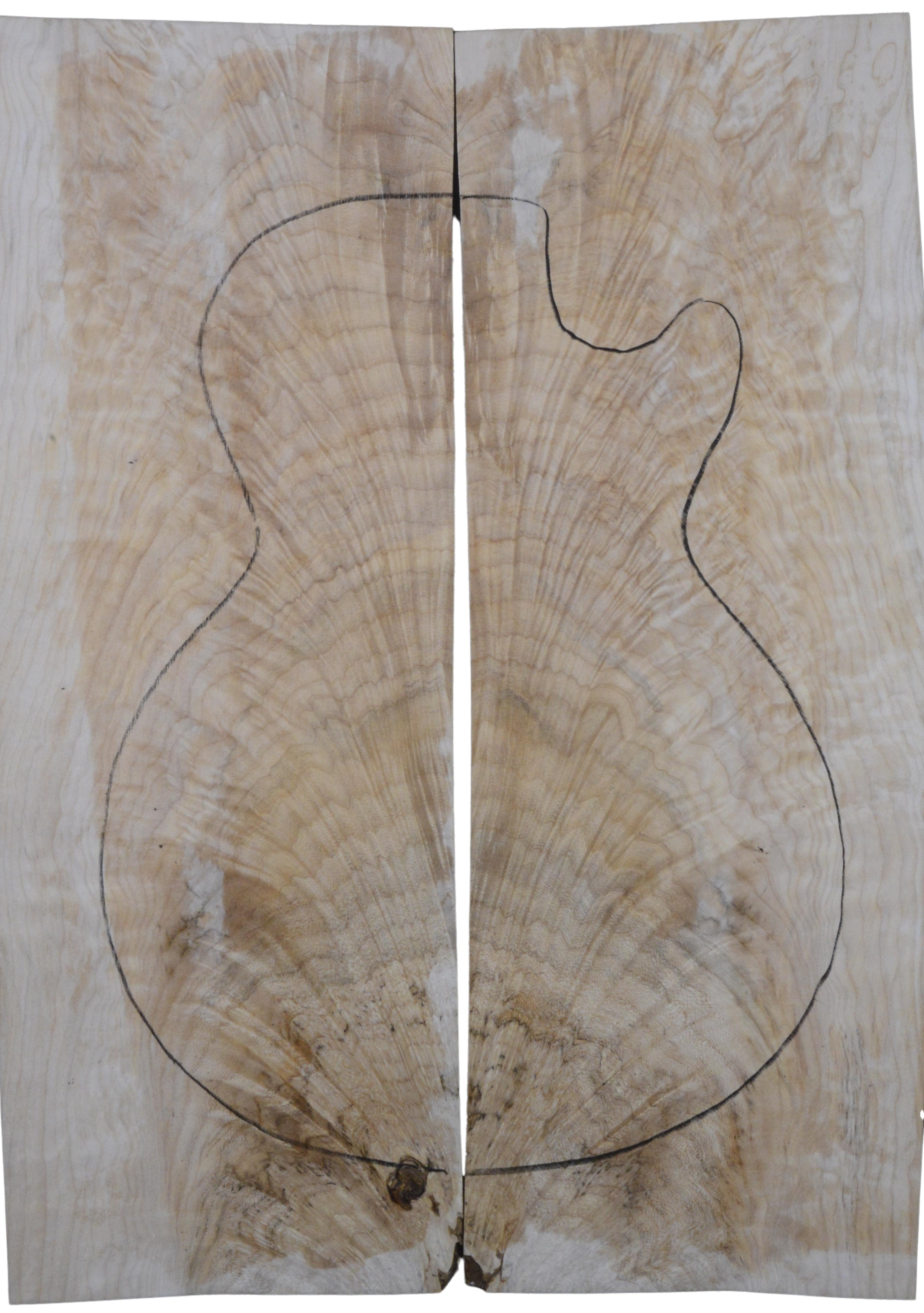 Maple (Big Leaf) GuitarSolidBodyTopATC L20174.G.005