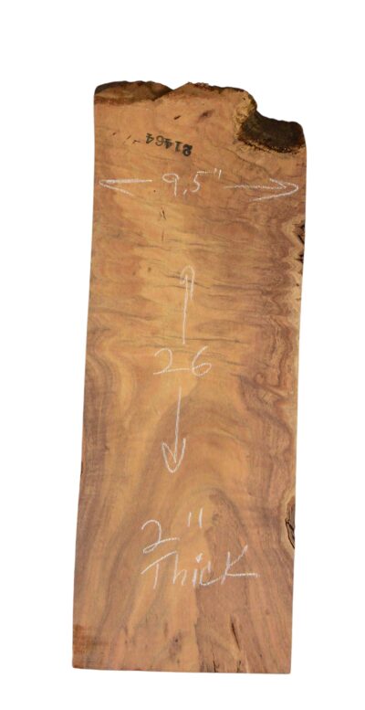 Koa BlockATC L21464.G.001