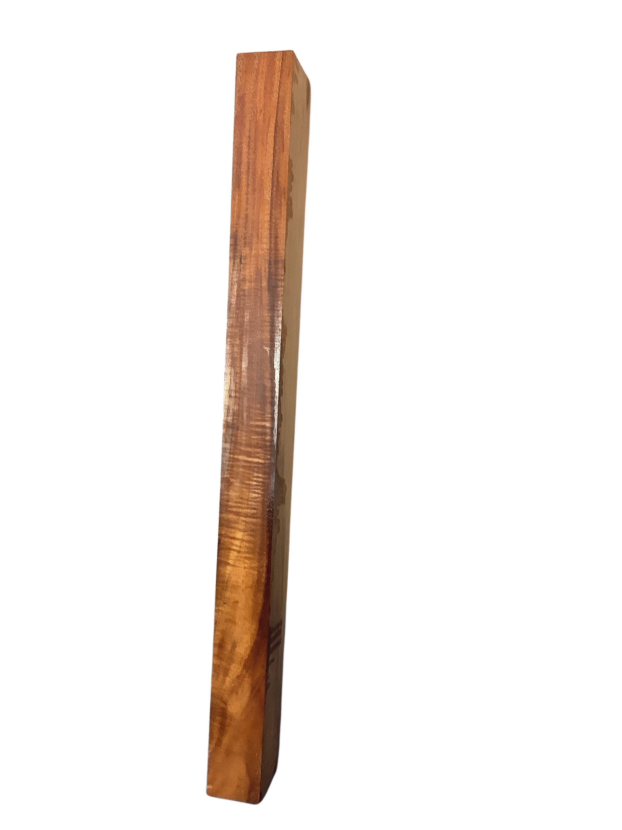 Koa GuitarBindingATC L22659.G.053