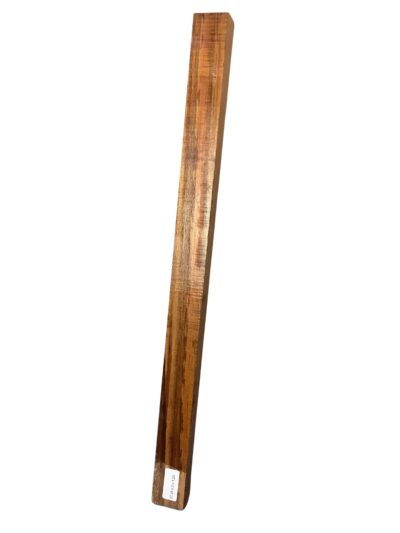 Koa GuitarBindingATC L22659.G.072