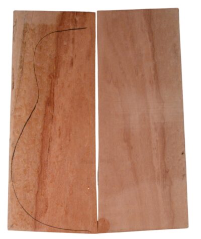 Bosse GuitarBack2pcATC L22962.G.016