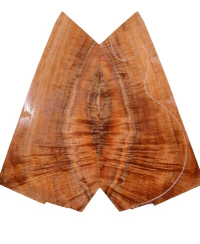 Koa GuitarSolidBodyTopATC L23991.G.013