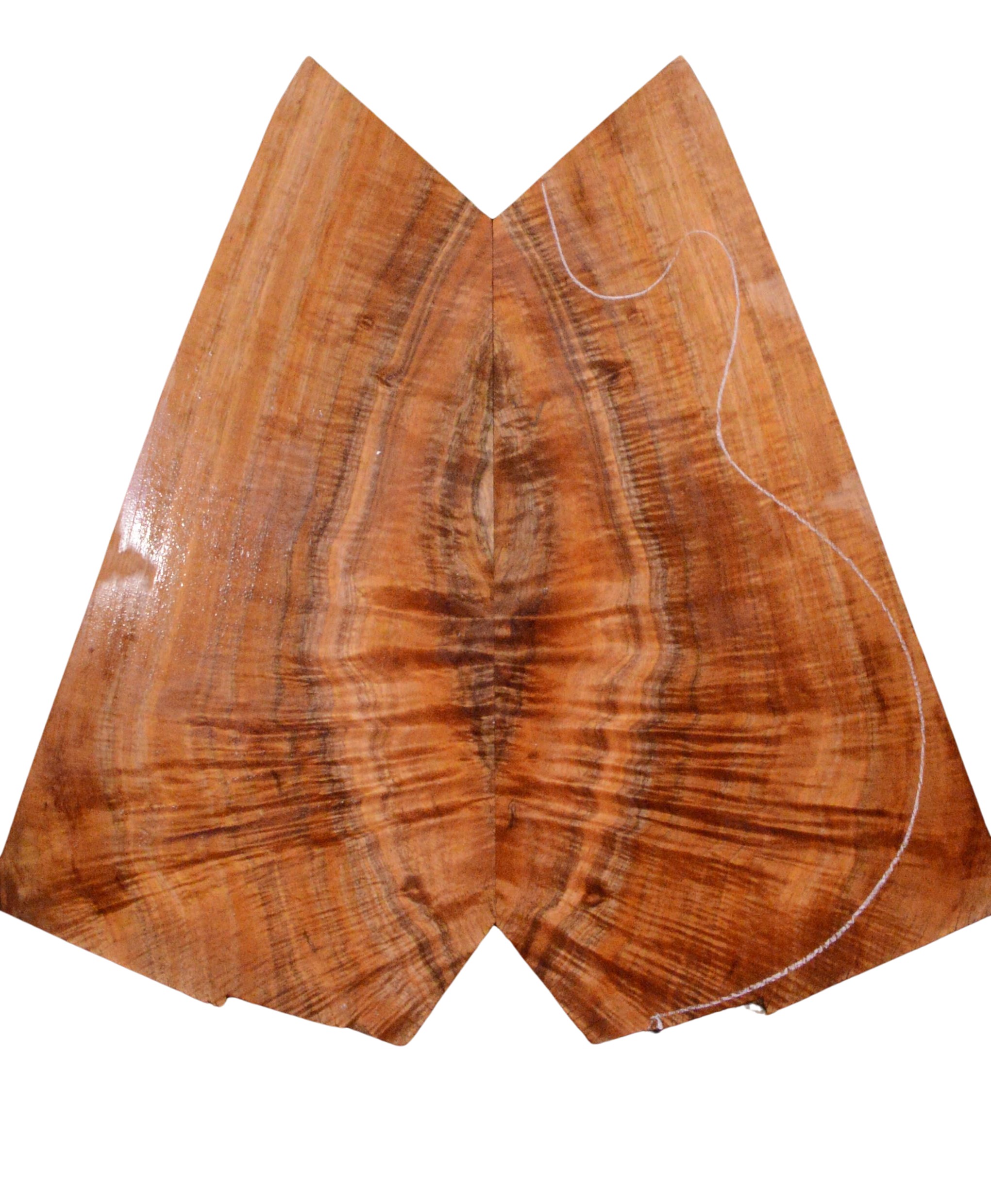 Koa GuitarSolidBodyTopATC L23991.G.013