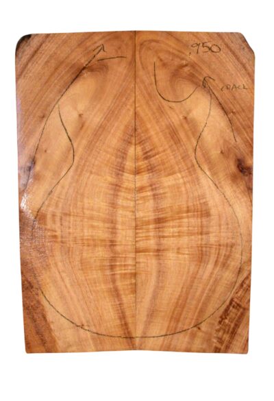 Koa GuitarSolidBodyTopATC L23991.G.019