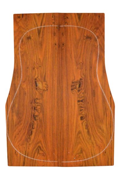 Cocobolo GuitarBack2pcATC L23992.G.037