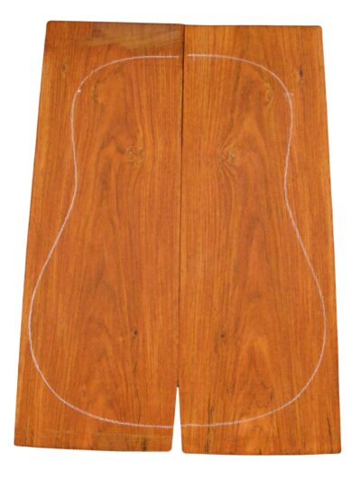 Cocobolo GuitarBack2pcATC L23992.G.044