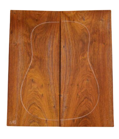 Cocobolo GuitarBack2pcATC L23992.G.055