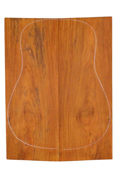 Cocobolo GuitarBack2pcATC L23992.G.058