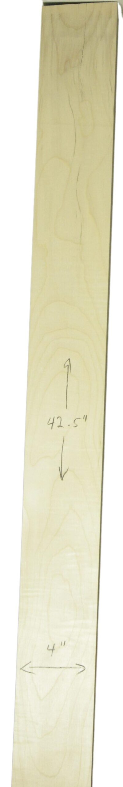 Sycamore (English) GuitarNeckATC L26230.G.007