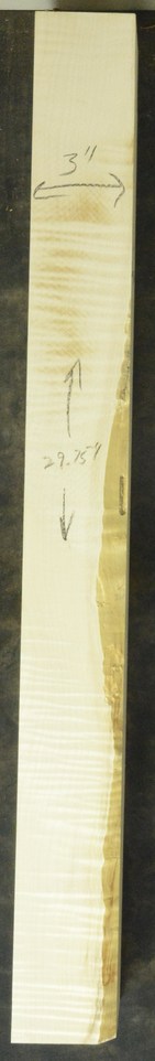 Sycamore (English) GuitarNeckATC L26230.G.014