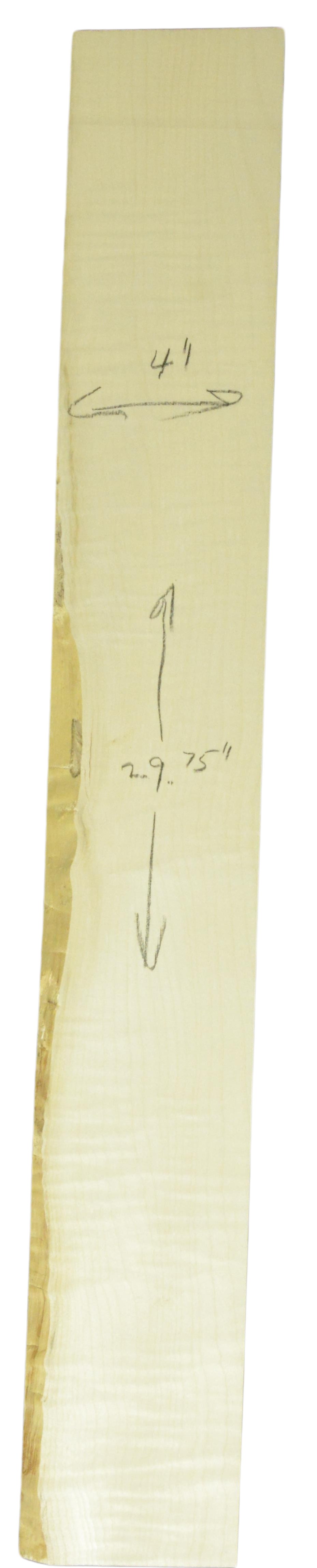 Sycamore (English) GuitarNeckATC L26230.G.014