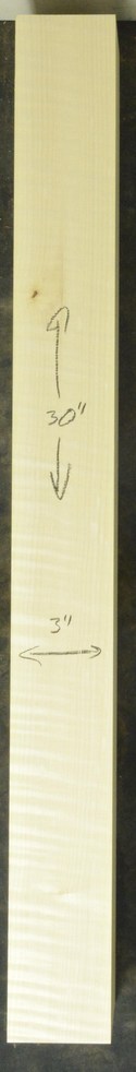 Sycamore (English) GuitarNeckATC L26230.G.015
