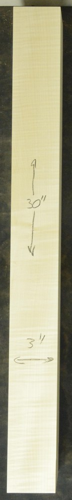 Sycamore (English) GuitarNeckATC L26230.G.016