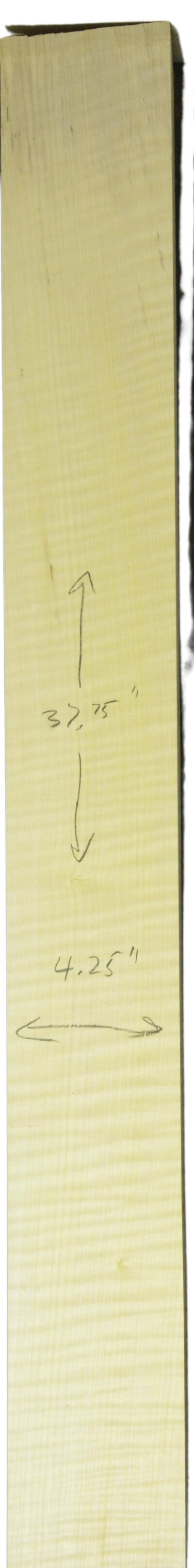 Sycamore (English) GuitarNeckATC L26230.G.017