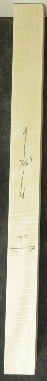 Sycamore (English) GuitarNeckATC L26230.G.018