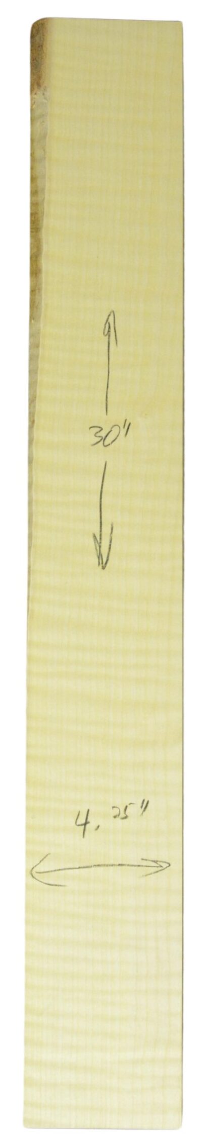 Sycamore (English) GuitarNeckATC L26230.G.019