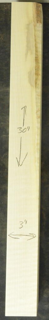 Sycamore (English) GuitarNeckATC L26230.G.019