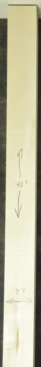 Sycamore (English) GuitarNeckATC L26230.G.021