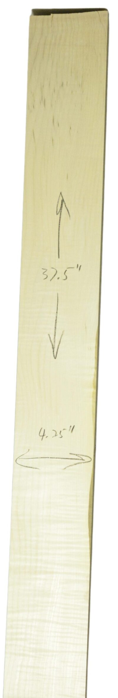 Sycamore (English) GuitarNeckATC L26230.G.022