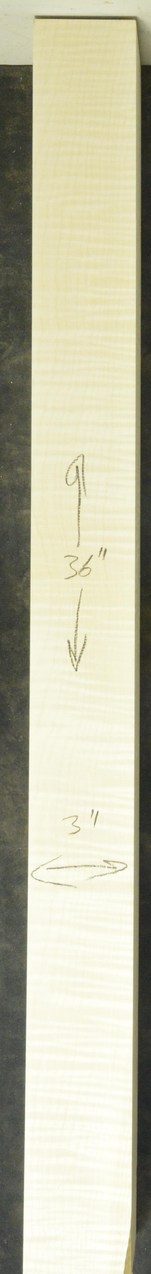Sycamore (English) GuitarNeckATC L26230.G.023