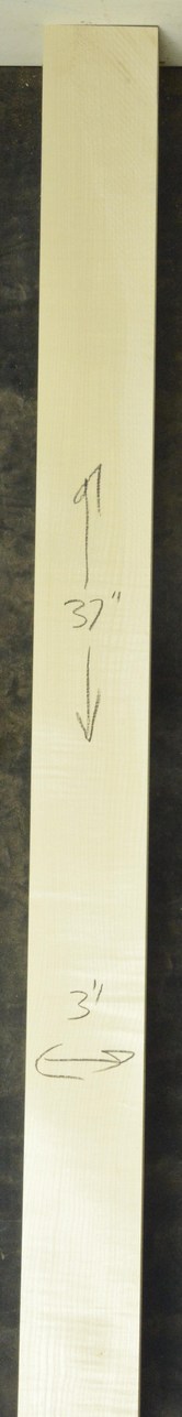 Sycamore (English) GuitarNeckATC L26230.G.029