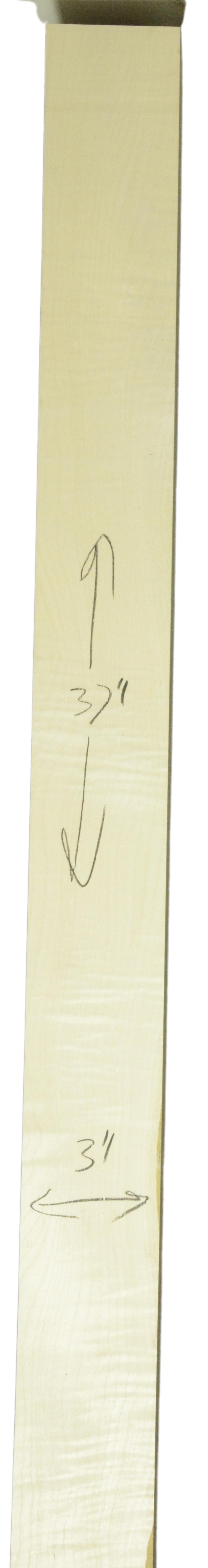 Sycamore (English) GuitarNeckATC L26230.G.029