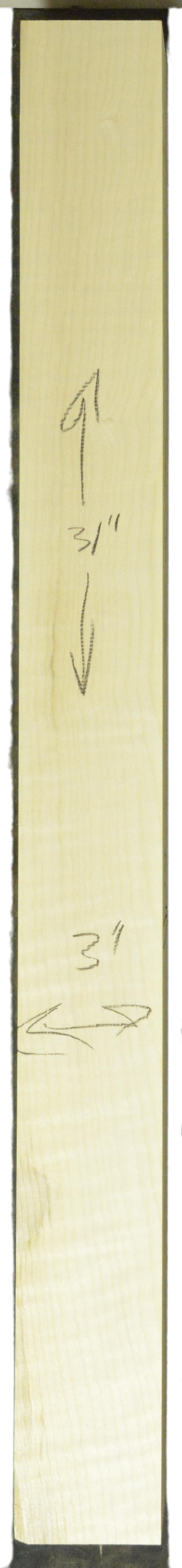 Sycamore (English) GuitarNeckATC L26230.G.030