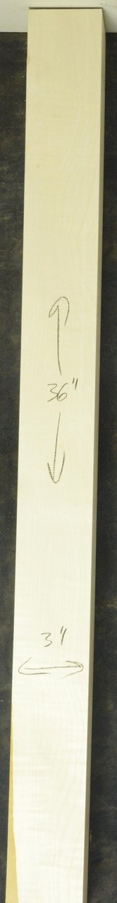 Sycamore (English) GuitarNeckATC L26230.G.031