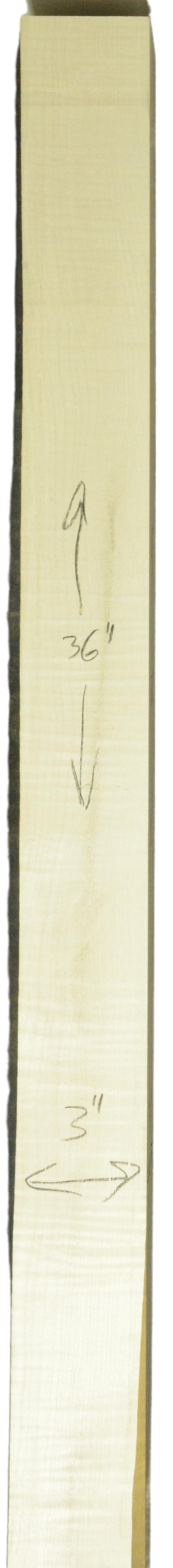Sycamore (English) GuitarNeckATC L26230.G.031
