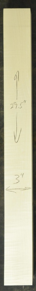 Sycamore (English) GuitarNeckATC L26230.G.033