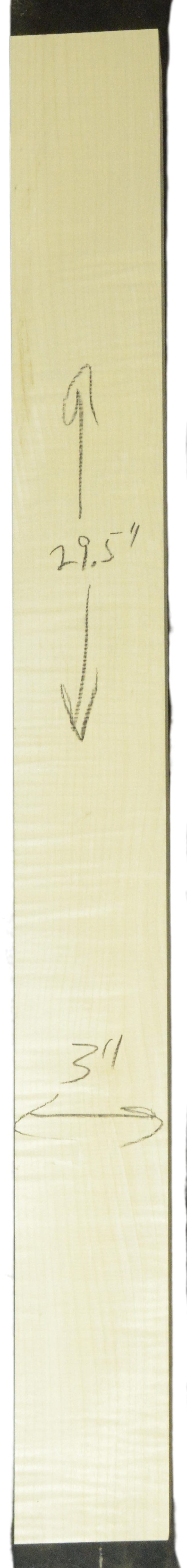Sycamore (English) GuitarNeckATC L26230.G.033