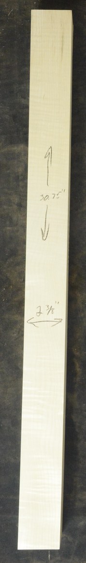 Sycamore (English) GuitarNeckATC L26230.G.034