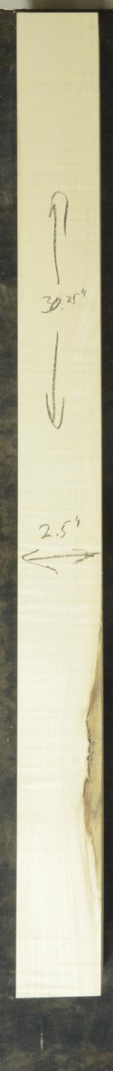 Sycamore (English) GuitarNeckATC L26230.G.035