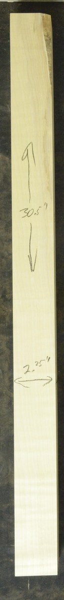 Sycamore (English) GuitarNeckATC L26230.G.037