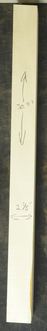 Sycamore (English) GuitarNeckATC L26230.G.038