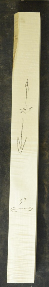 Sycamore (English) GuitarNeckATC L26230.G.039