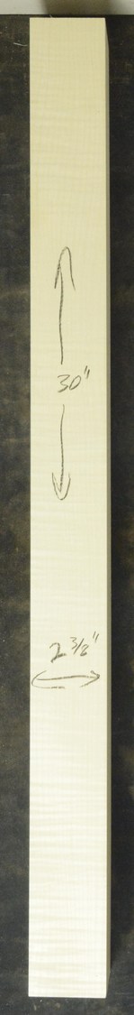 Sycamore (English) GuitarNeckATC L26230.G.040