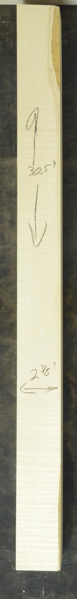 Sycamore (English) GuitarNeckATC L26230.G.041
