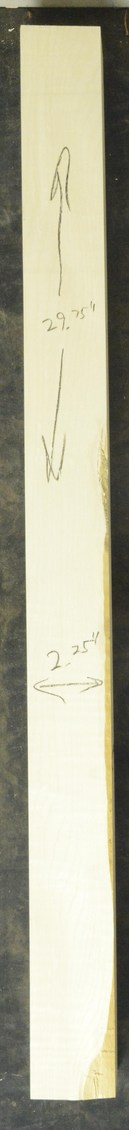 Sycamore (English) GuitarNeckATC L26230.G.042