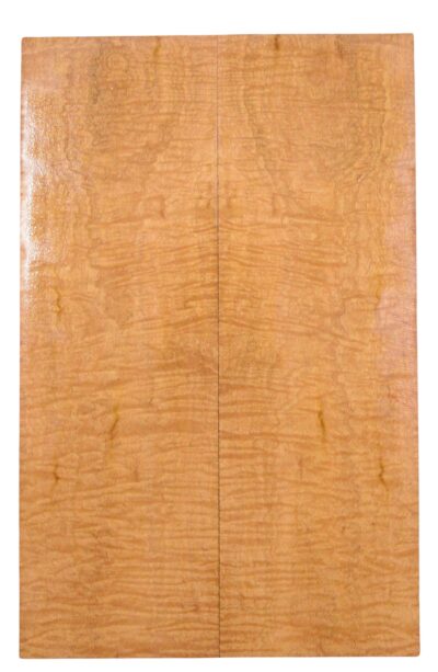 Mahogany (Genuine) GuitarBack2pcATC L26231.G.104