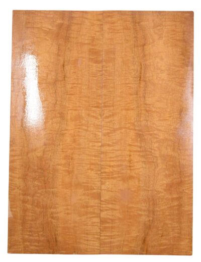 Mahogany (Genuine) GuitarBack2pcATC L26231.G.113