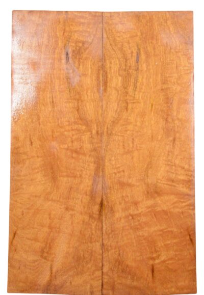 Mahogany (Genuine) GuitarSolidBodyTopATC L26231.G.158
